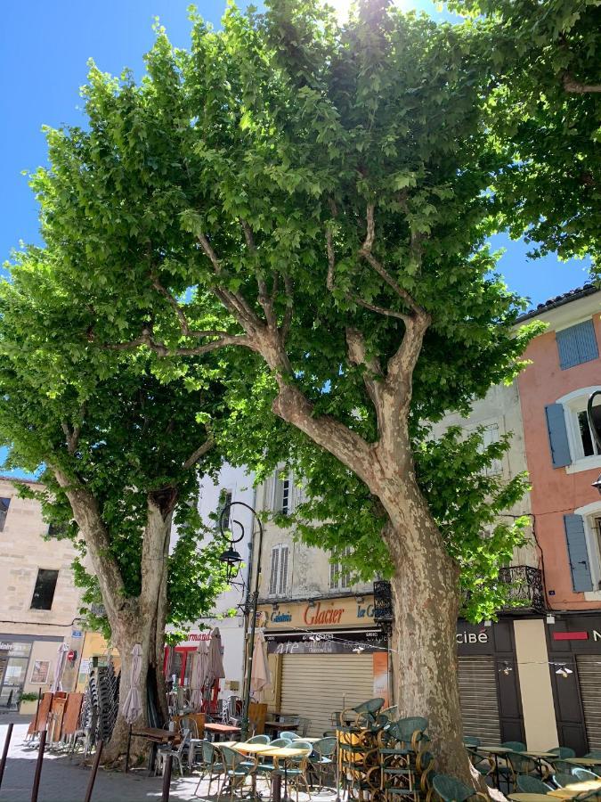Apartamento Fleurs De Provence LʼIsle-sur-la-Sorgue Exterior foto