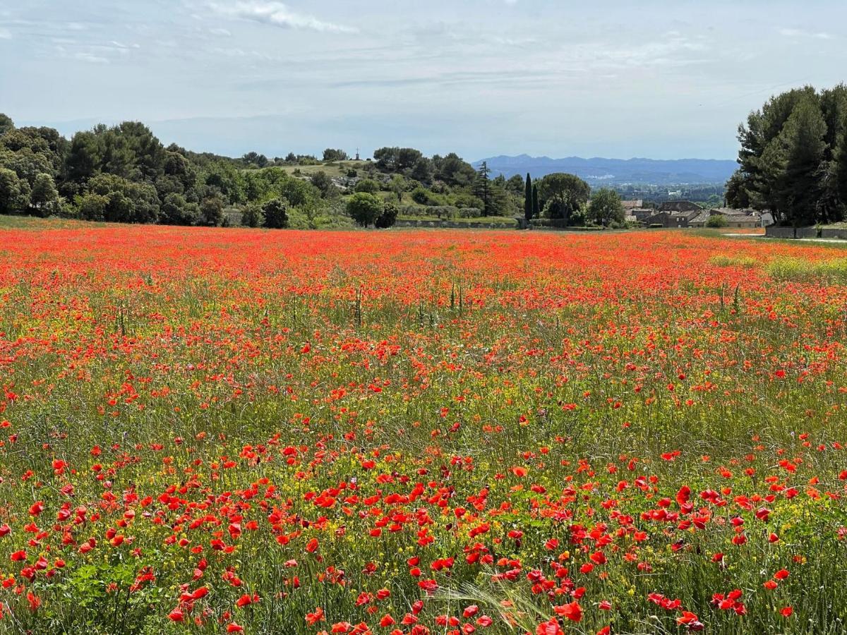 Apartamento Fleurs De Provence LʼIsle-sur-la-Sorgue Exterior foto