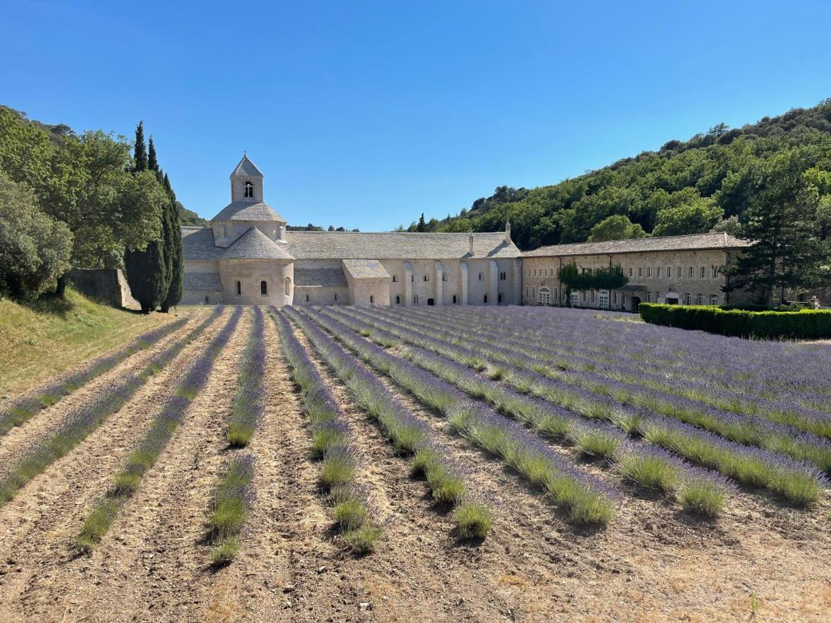 Apartamento Fleurs De Provence LʼIsle-sur-la-Sorgue Exterior foto