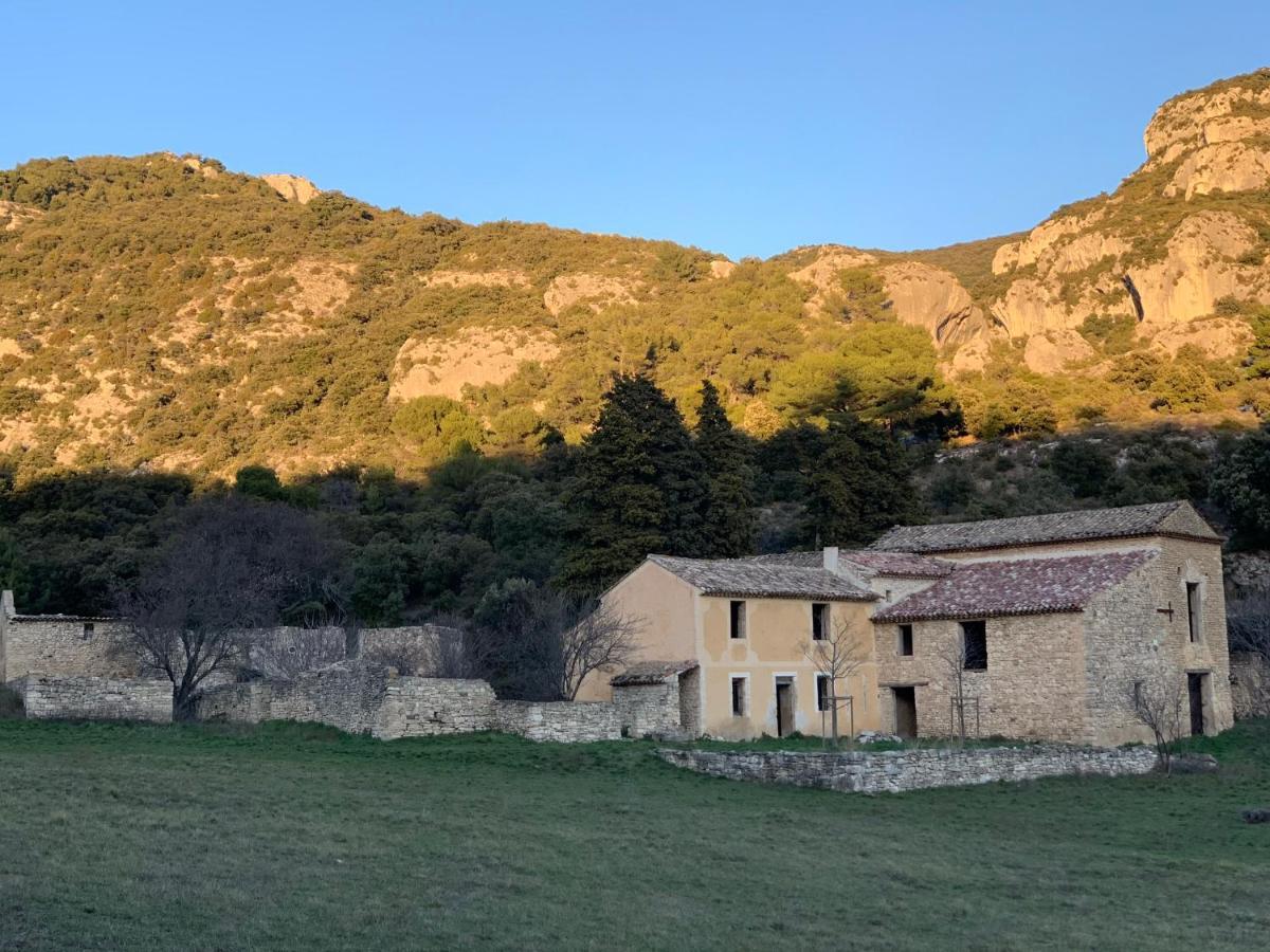 Apartamento Fleurs De Provence LʼIsle-sur-la-Sorgue Exterior foto